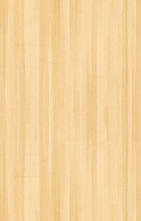 extensions/Wood/images/wood_pattern.jpg