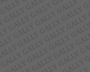 extensions/gally/gally-default/screenshot.png
